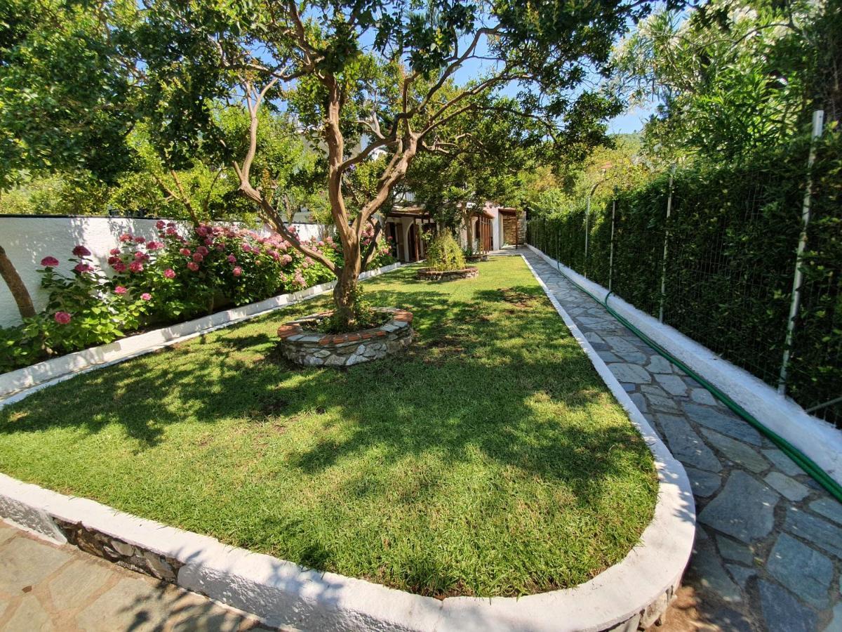 Dionisos Studios And Apts Skiathos Koukounaries Zewnętrze zdjęcie