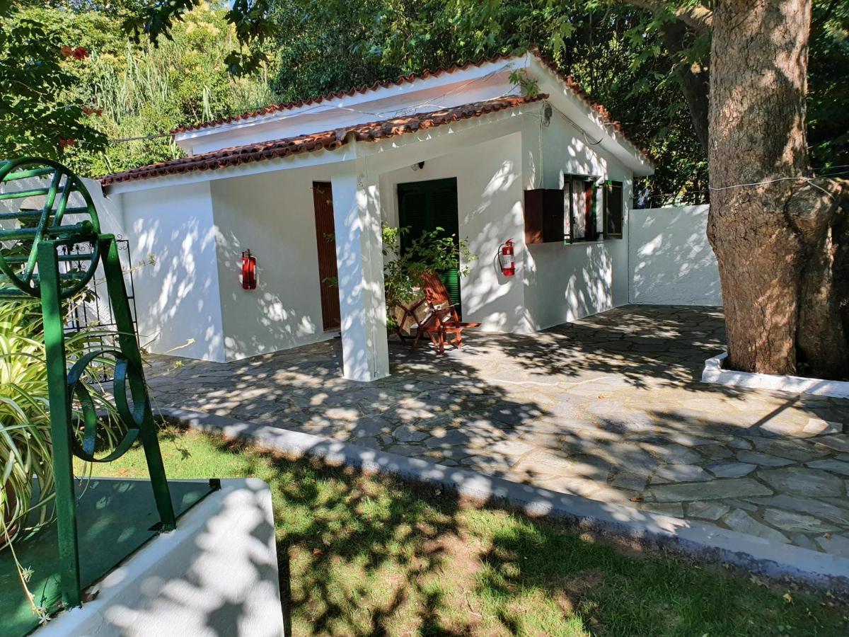 Dionisos Studios And Apts Skiathos Koukounaries Zewnętrze zdjęcie